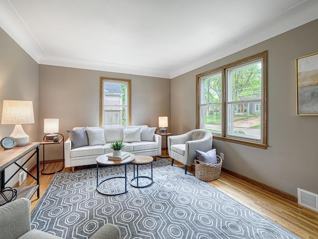 living area featuring wood finished floors, baseboards, and ornamental molding