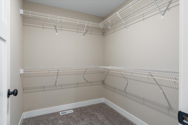 spacious closet featuring carpet floors and visible vents