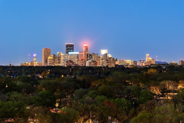 3145 Dean Ct Unit 1100, Minneapolis, MN 55416 - city view