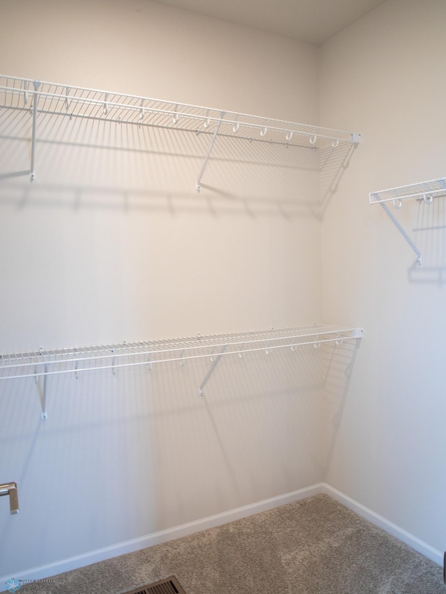 spacious closet with carpet