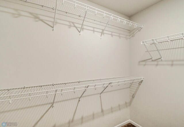 3445 18th St S, Moorhead, MN 56560 - view of walk in closet