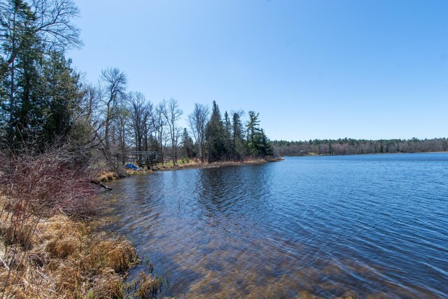 view of water feature featuring a view of trees