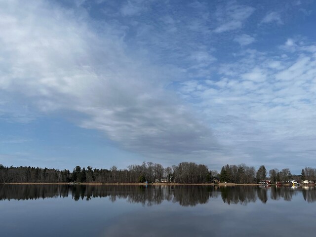 property view of water with a wooded view