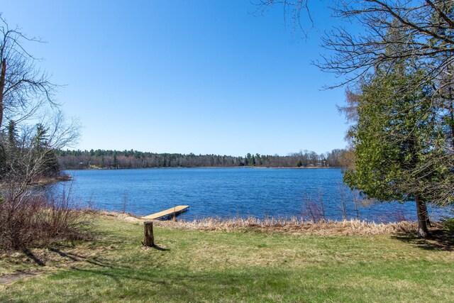 property view of water with a forest view
