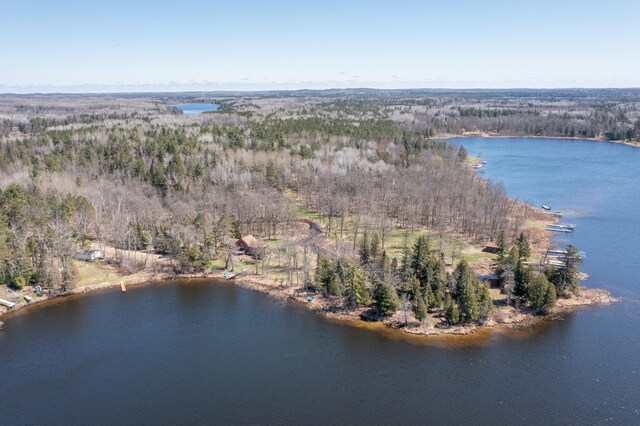 aerial view with a view of trees and a water view