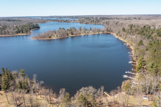 aerial view with a water view and a forest view