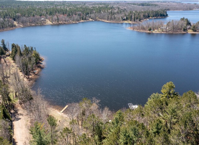 bird's eye view featuring a water view and a view of trees