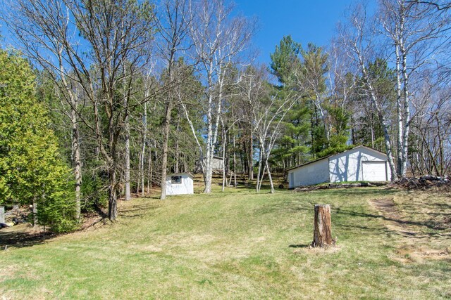 view of yard with a garage, an outdoor structure, and a shed