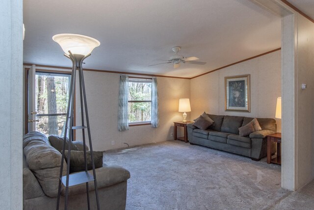 living room with carpet flooring, a ceiling fan, ornamental molding, and a healthy amount of sunlight