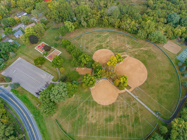 aerial view