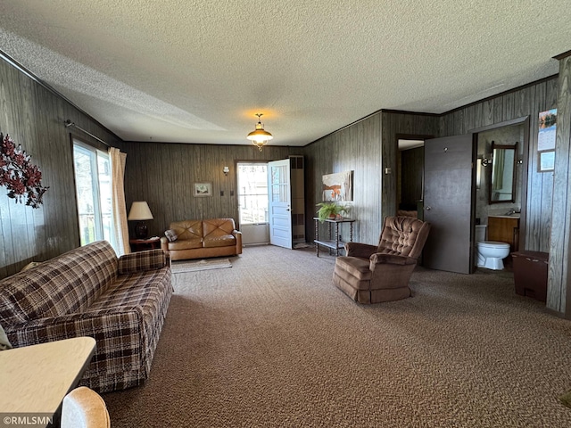 living area with crown molding, wood walls, a textured ceiling, and carpet flooring