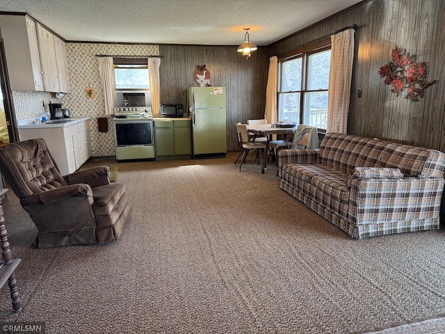 living area with a textured ceiling, wood walls, and light carpet