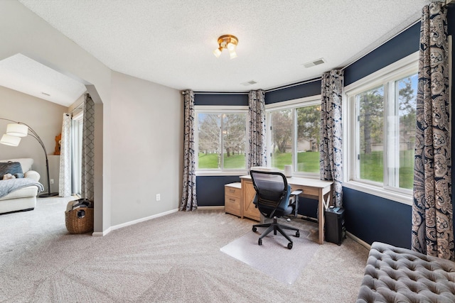 1711 121st Ln NW, Coon Rapids, MN 55448 - home office with carpet flooring, a textured ceiling, and baseboards