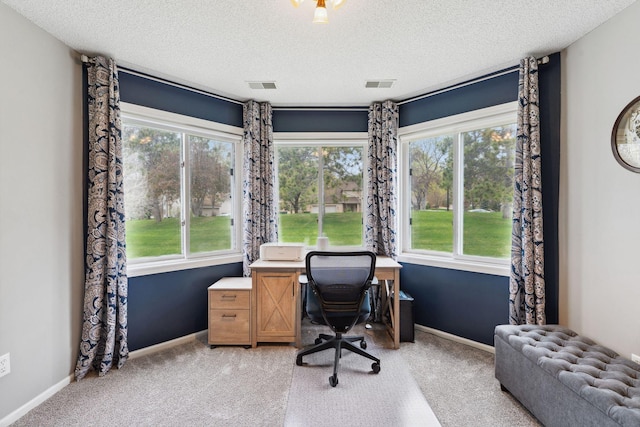 1711 121st Ln NW, Coon Rapids, MN 55448 - office featuring a textured ceiling, healthy amount of natural light, light carpet, and baseboards