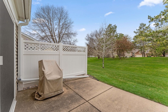 1711 121st Ln NW, Coon Rapids, MN 55448 - view of patio