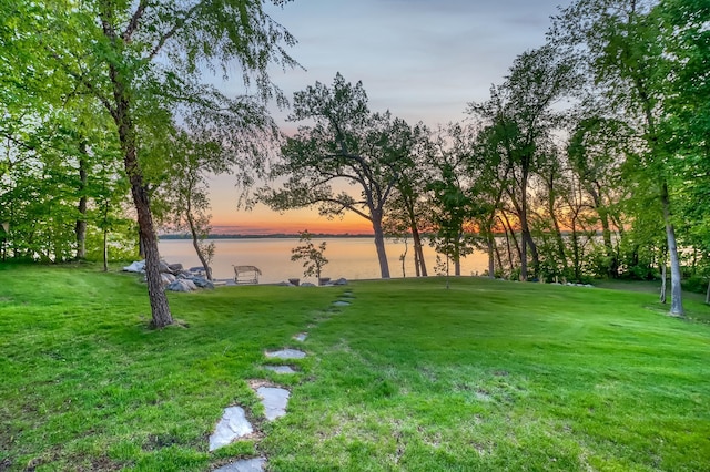 42429 Big Mcdonald Dr, Dent, MN 56528 - yard at dusk with a water view and a lawn
