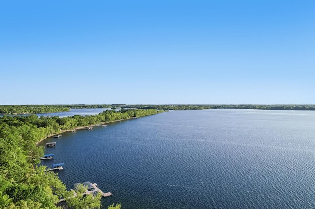 42429 Big Mcdonald Dr, Dent, MN 56528 - water view