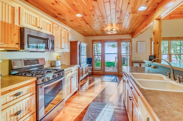 42429 Big Mcdonald Dr, Dent, MN 56528 - kitchen featuring stainless steel appliances, a sink, recessed lighting, light wood-style flooring, and light countertops