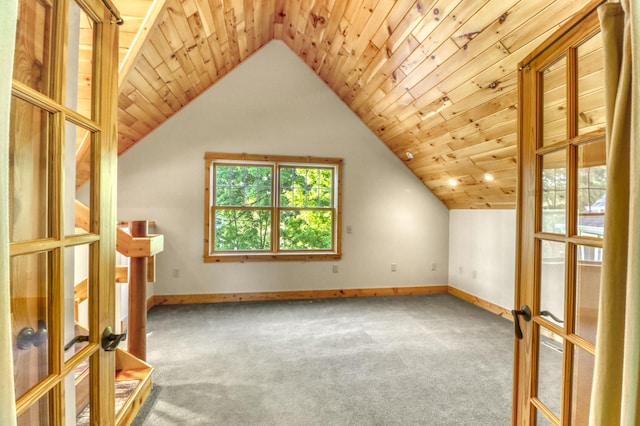 42429 Big Mcdonald Dr, Dent, MN 56528 - additional living space featuring french doors, carpet floors, baseboards, and lofted ceiling