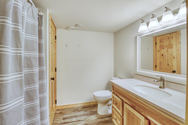 42429 Big Mcdonald Dr, Dent, MN 56528 - full bath with vanity, wood finished floors, toilet, and a shower with curtain