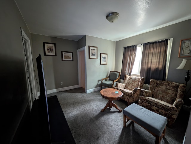 living room featuring crown molding, carpet floors, and baseboards