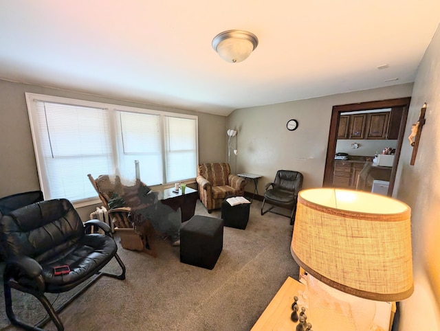 living room featuring carpet flooring