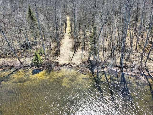 38922 Christie Ln, Cohasset, MN 55721 - photo 23
