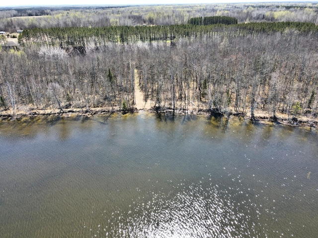 38922 Christie Ln, Cohasset, MN 55721 - photo 25