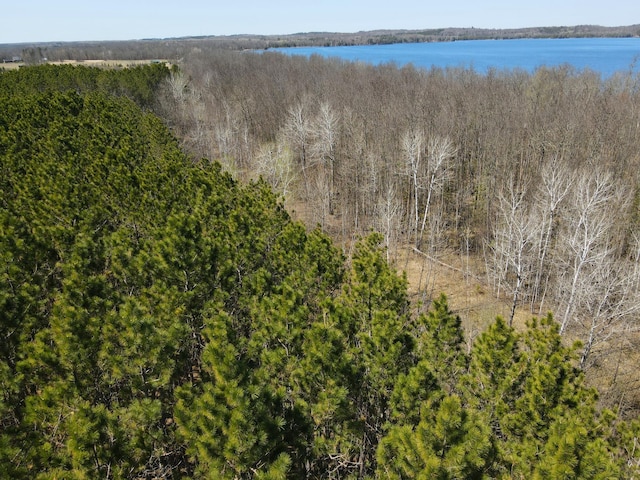 38922 Christie Ln, Cohasset, MN 55721 - photo 26