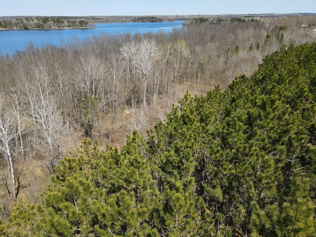 38922 Christie Ln, Cohasset, MN 55721 - photo 27