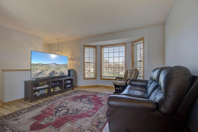 living area featuring baseboards and wood finished floors