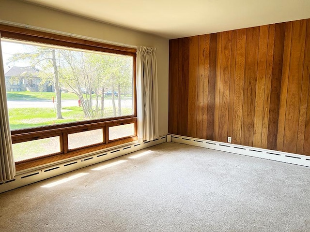 1313 Corbett Rd, Detroit Lakes, MN 56501 - carpeted spare room featuring wood walls