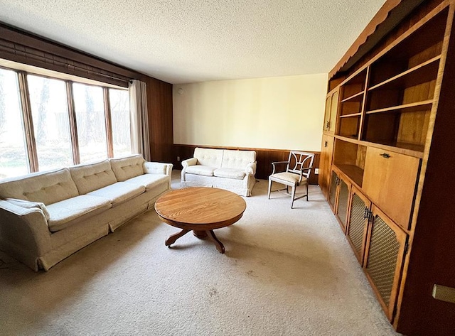 1313 Corbett Rd, Detroit Lakes, MN 56501 - carpeted living area with a textured ceiling and wooden walls