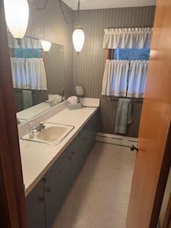 1313 Corbett Rd, Detroit Lakes, MN 56501 - bathroom with vanity