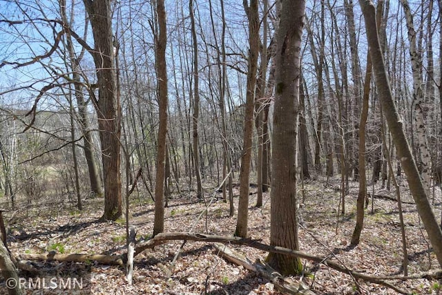 view of local wilderness with a forest view