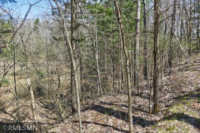 view of nature featuring a view of trees