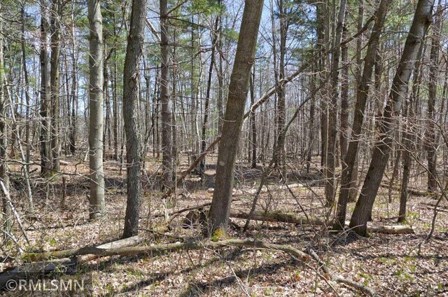 view of nature featuring a view of trees