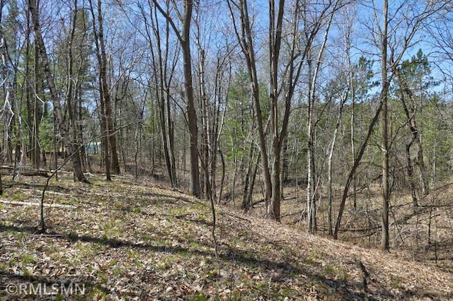 view of landscape with a wooded view