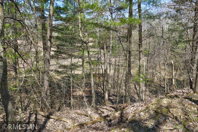 view of nature with a wooded view