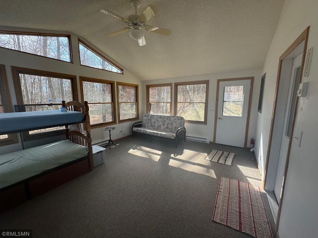 sunroom featuring a baseboard radiator