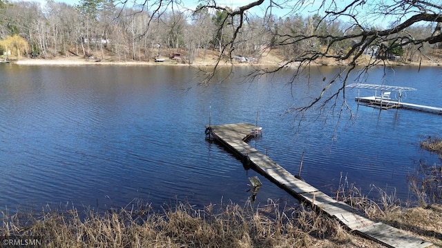 dock area with a water view