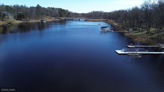 view of water feature with a view of trees and a floating dock