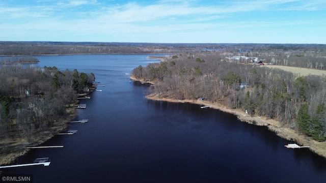 aerial view with a view of trees and a water view