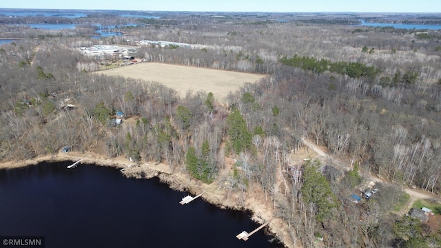 bird's eye view featuring a view of trees and a water view