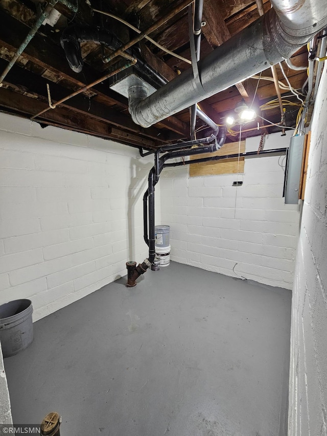 unfinished below grade area with concrete block wall