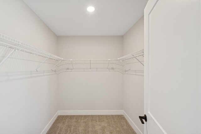 spacious closet with light colored carpet