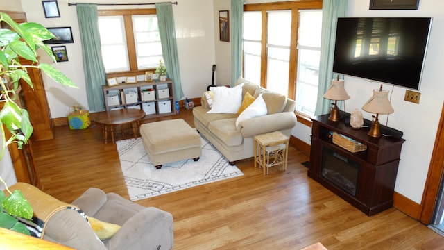 101 5th St, Cyrus, MN 56323 - living room with baseboards and wood finished floors