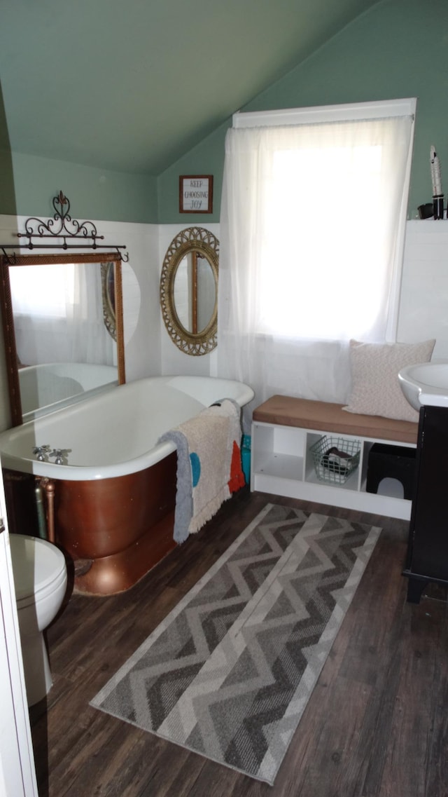 101 5th St, Cyrus, MN 56323 - bathroom with a freestanding tub, vaulted ceiling, wood finished floors, vanity, and toilet