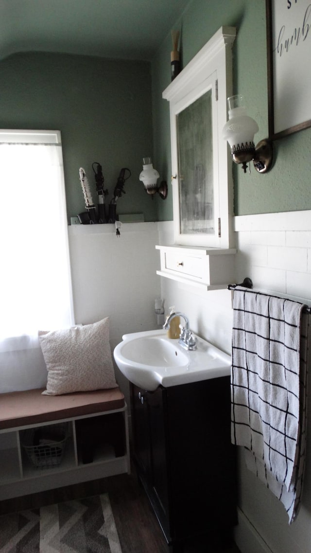 101 5th St, Cyrus, MN 56323 - bathroom with wood finished floors and vanity