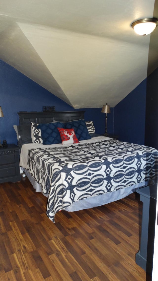 101 5th St, Cyrus, MN 56323 - bedroom featuring wood finished floors and vaulted ceiling